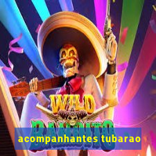 acompanhantes tubarao